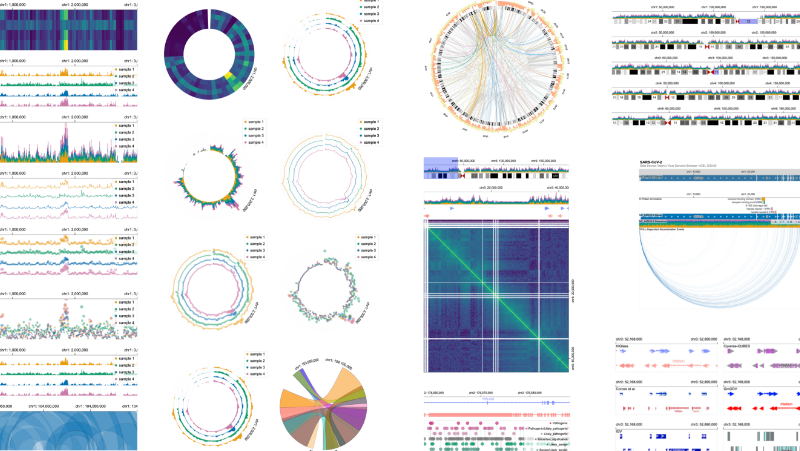 Visualization Grammar